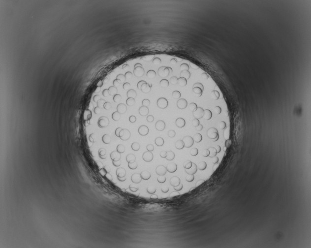 X0000115710635200912241544