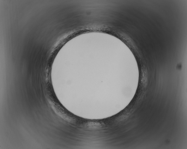 X0000115710636200912241544