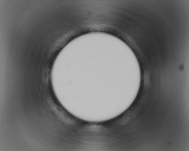 X0000115710637200912241544