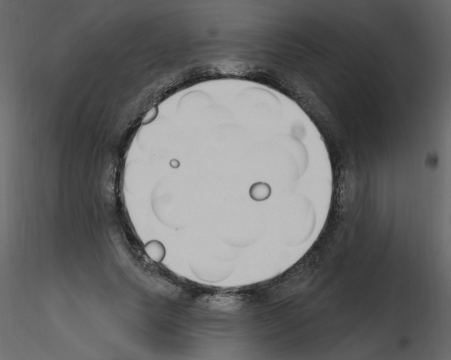 X0000115710639200912241544