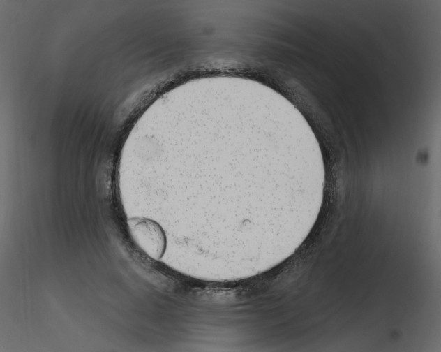 X0000115710640200912241544