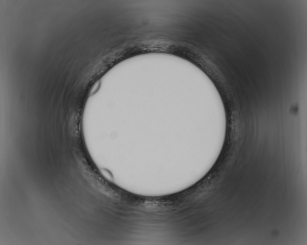 X0000115710641200912241544