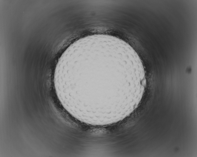 X0000115710642200912241544