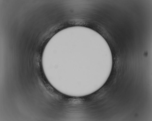 X0000115710643200912241544