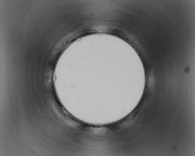 X0000115710645200912241544