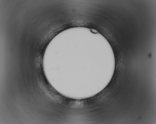 X0000115710647200912241544