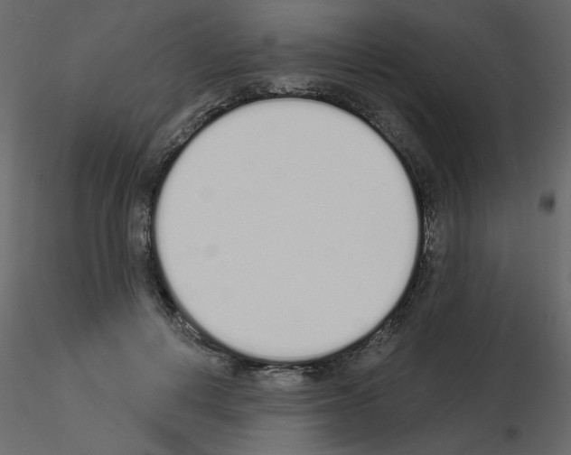 X0000115710648200912241544