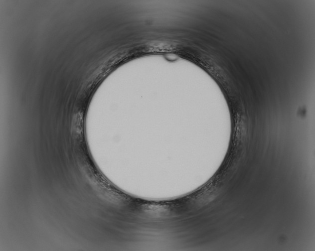 X0000115710649200912241544