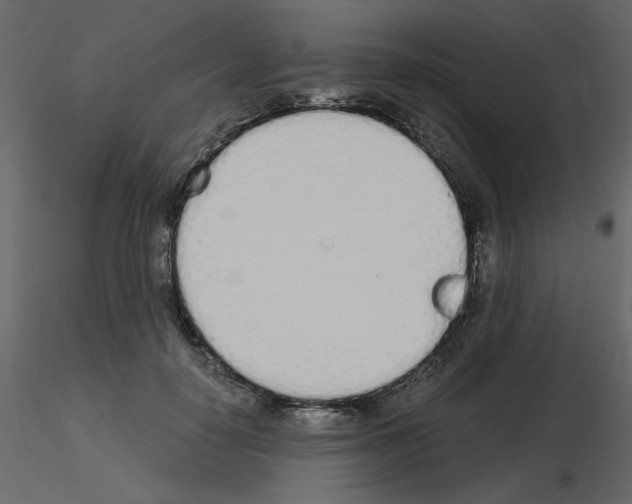 X0000115710650200912241545