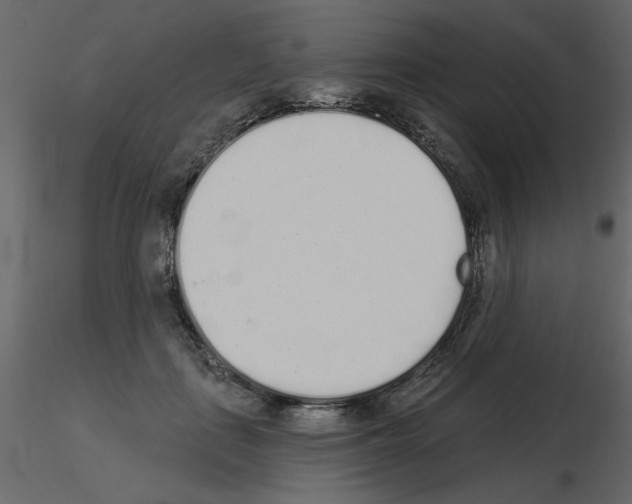 X0000115710651200912241545