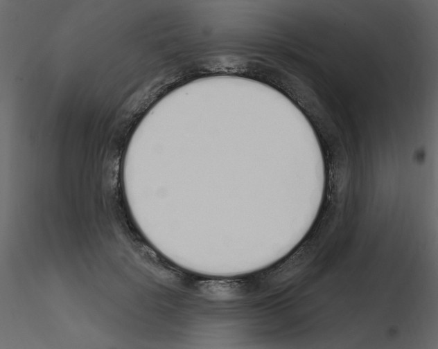 X0000115710652200912241545