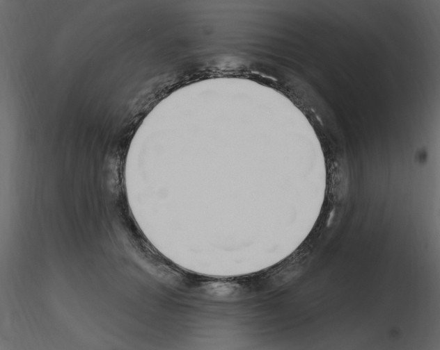 X0000115710654200912241545