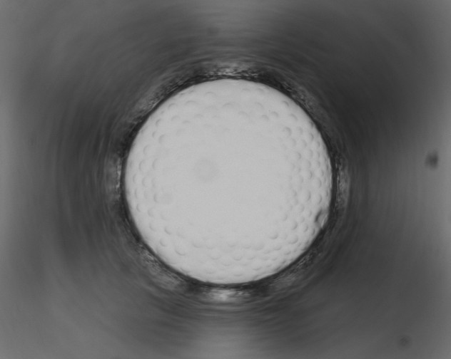 X0000115710657200912241545