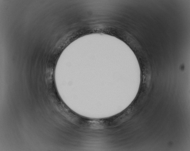 X0000115710660200912241545