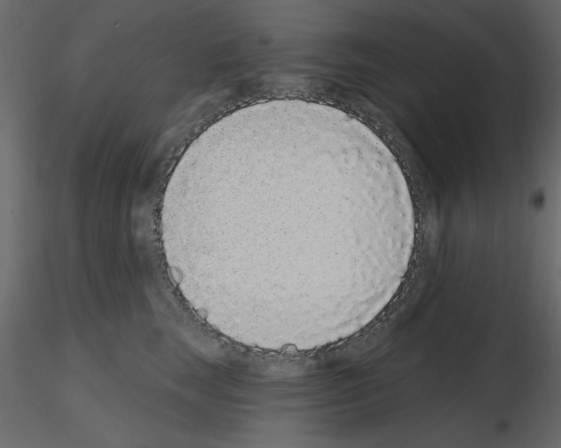 X0000115710663200912241545