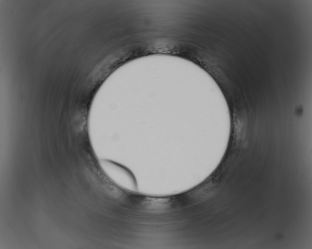 X0000115710665200912241545