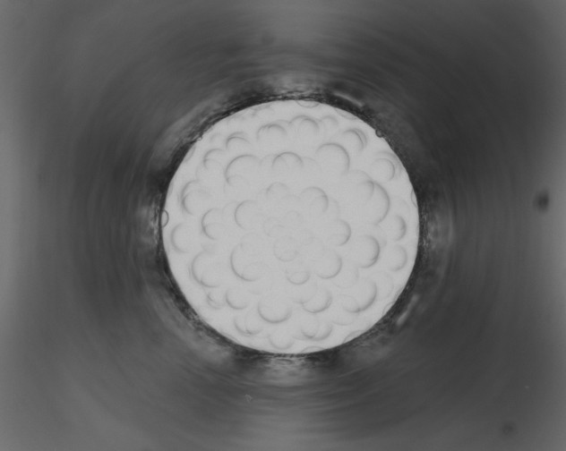 X0000115710666200912241545