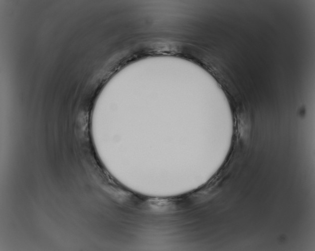 X0000115710667200912241545