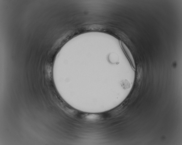 X0000115710669200912241545