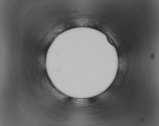 X0000115710670200912241545