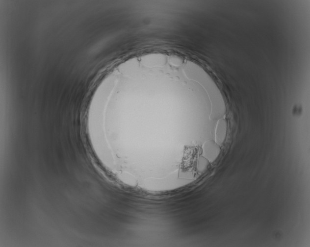 X0000115710672200912241545