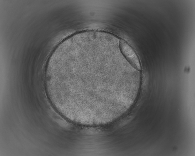 X0000115710673200912241544