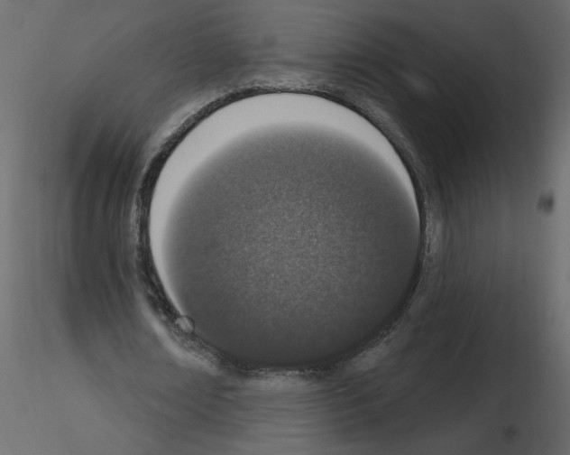 X0000115710674200912241544