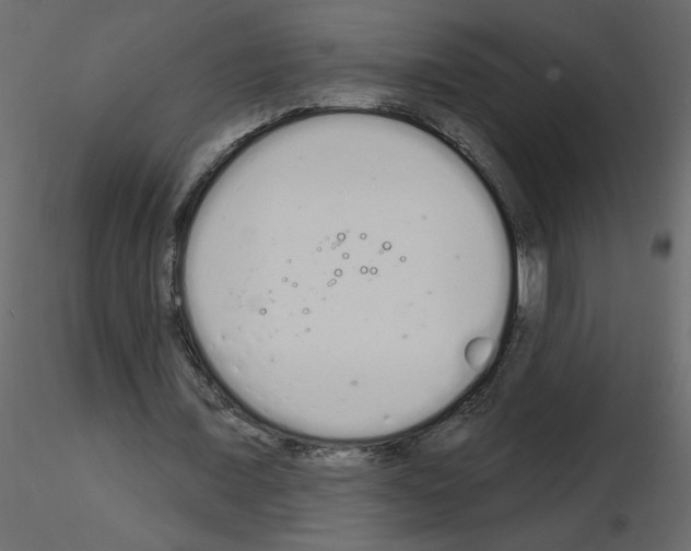 X0000115710675200912241544