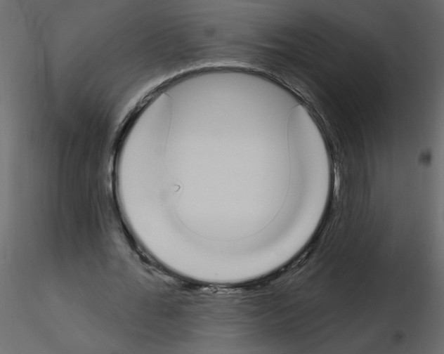 X0000115710676200912241544