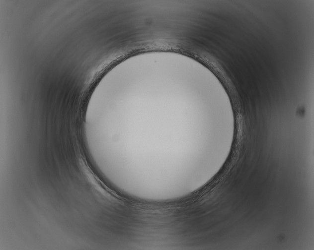 X0000115710677200912241544