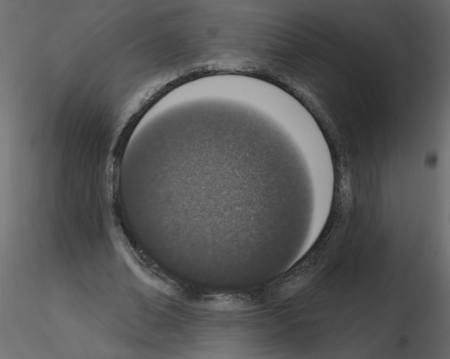 X0000115710678200912241544