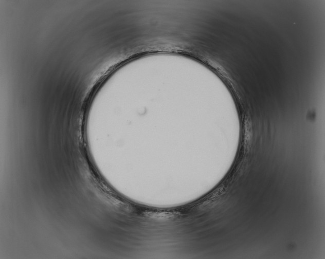 X0000115710679200912241544