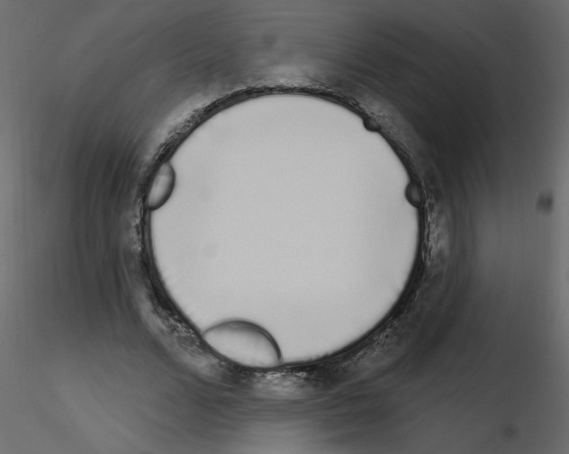 X0000115710680200912241544