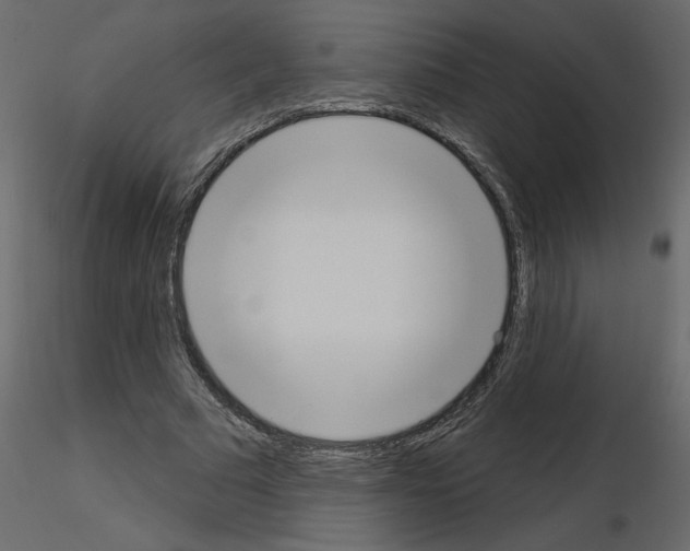 X0000115710681200912241544