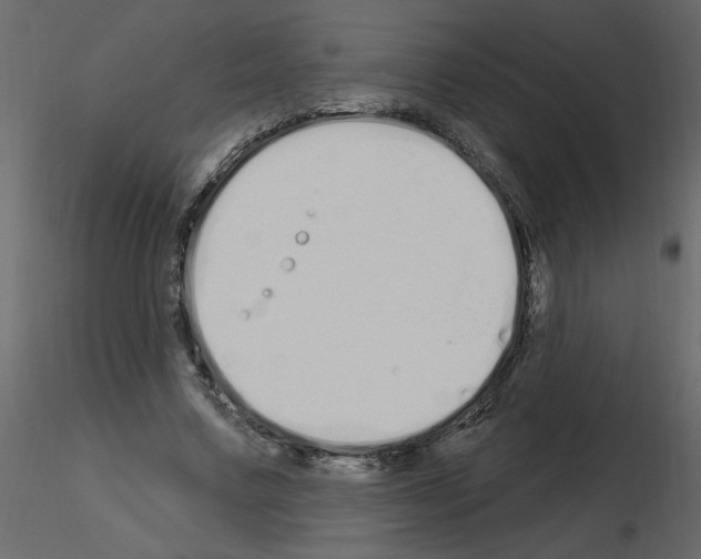 X0000115710683200912241544