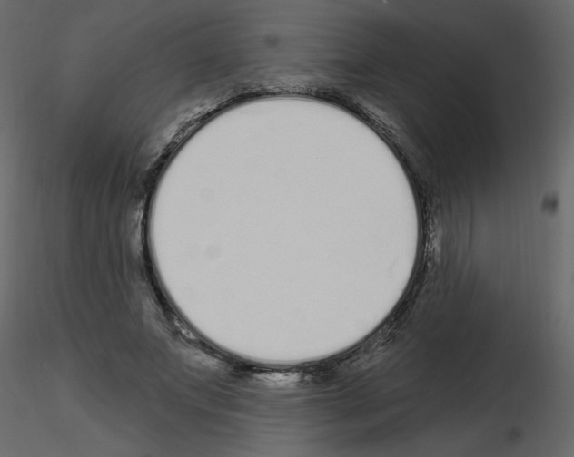 X0000115710687200912241544