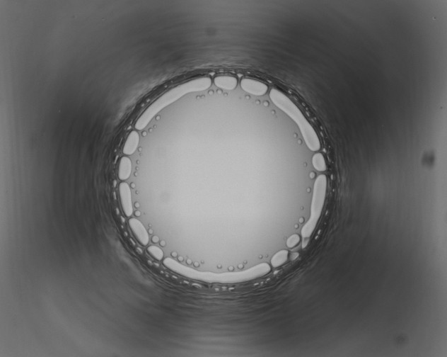 X0000115710688200912241544