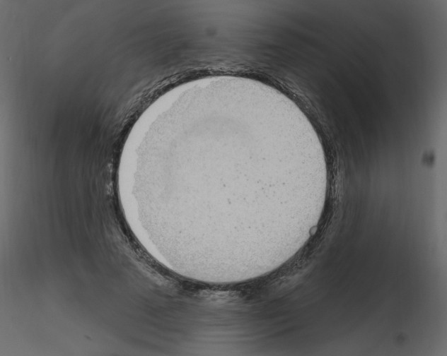 X0000115710689200912241544