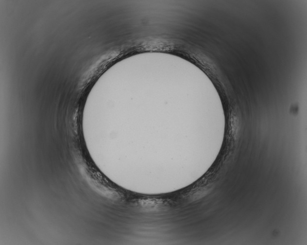 X0000115710690200912241544