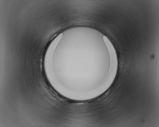 X0000115710692200912241544