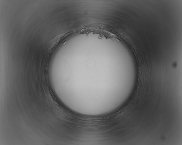 X0000115710693200912241544