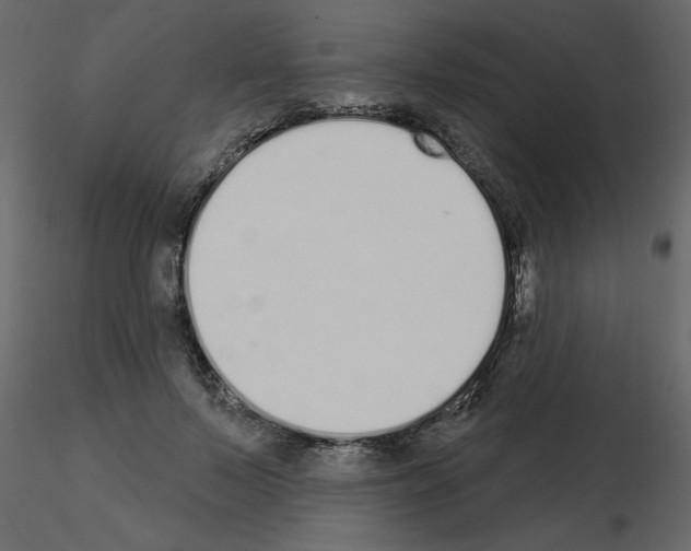 X0000115710695200912241544