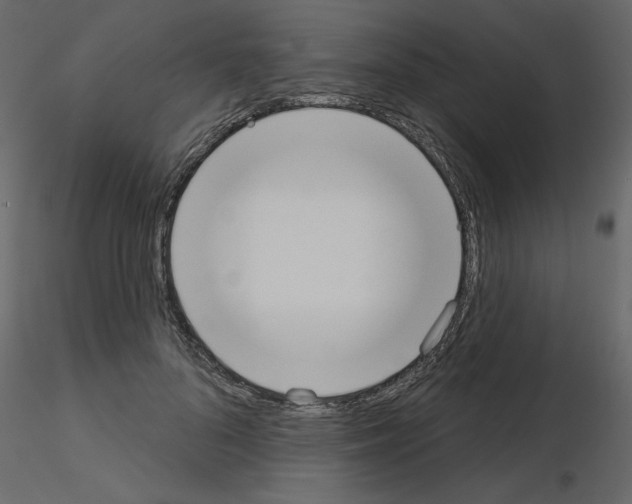 X0000115710696200912241544