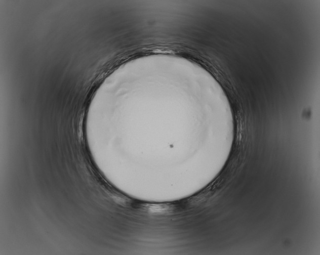 X0000115710697200912241544