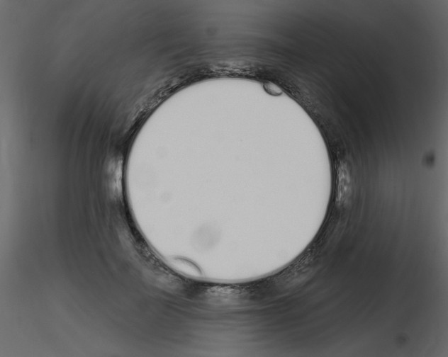 X0000115710699200912241544