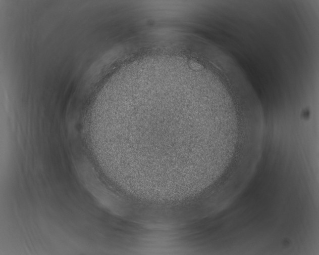 X0000115710701200912241544