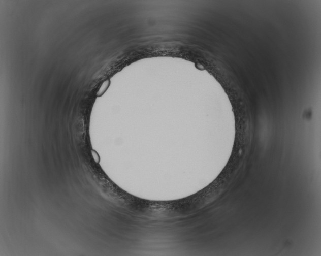 X0000115710704200912241544