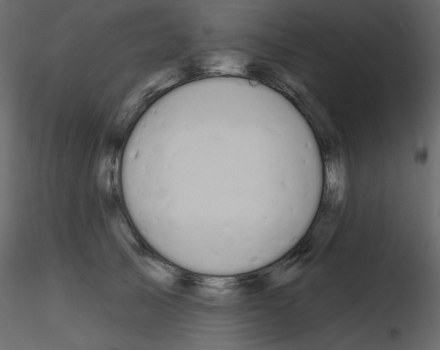 X0000115710705200912241544