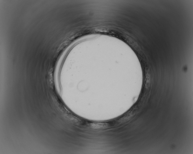 X0000115710707200912241544