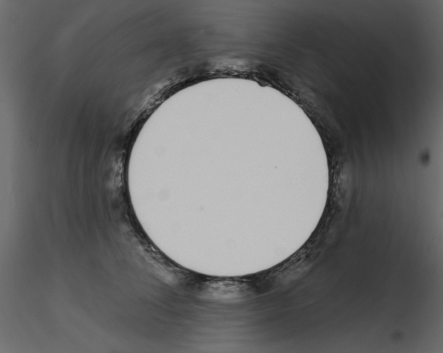 X0000115710708200912241544